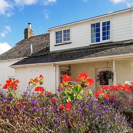 Meadow Lakes Holiday Park St Austell Exteriér fotografie